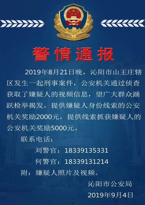 刑事案件爆料视频播放大全,刑事案件爆料视频大盘点